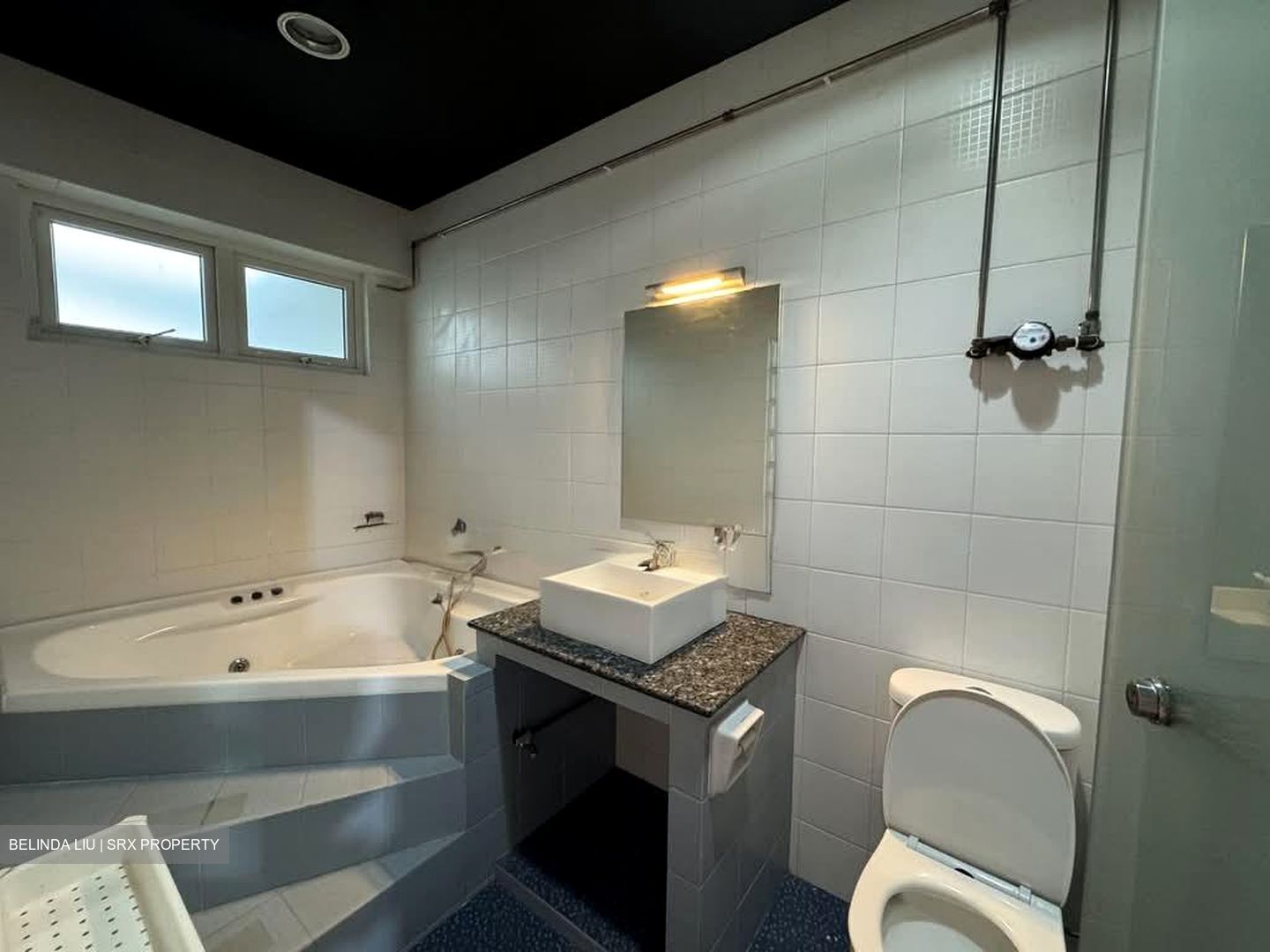 Bukit Timah Road (D10), Apartment #532531421